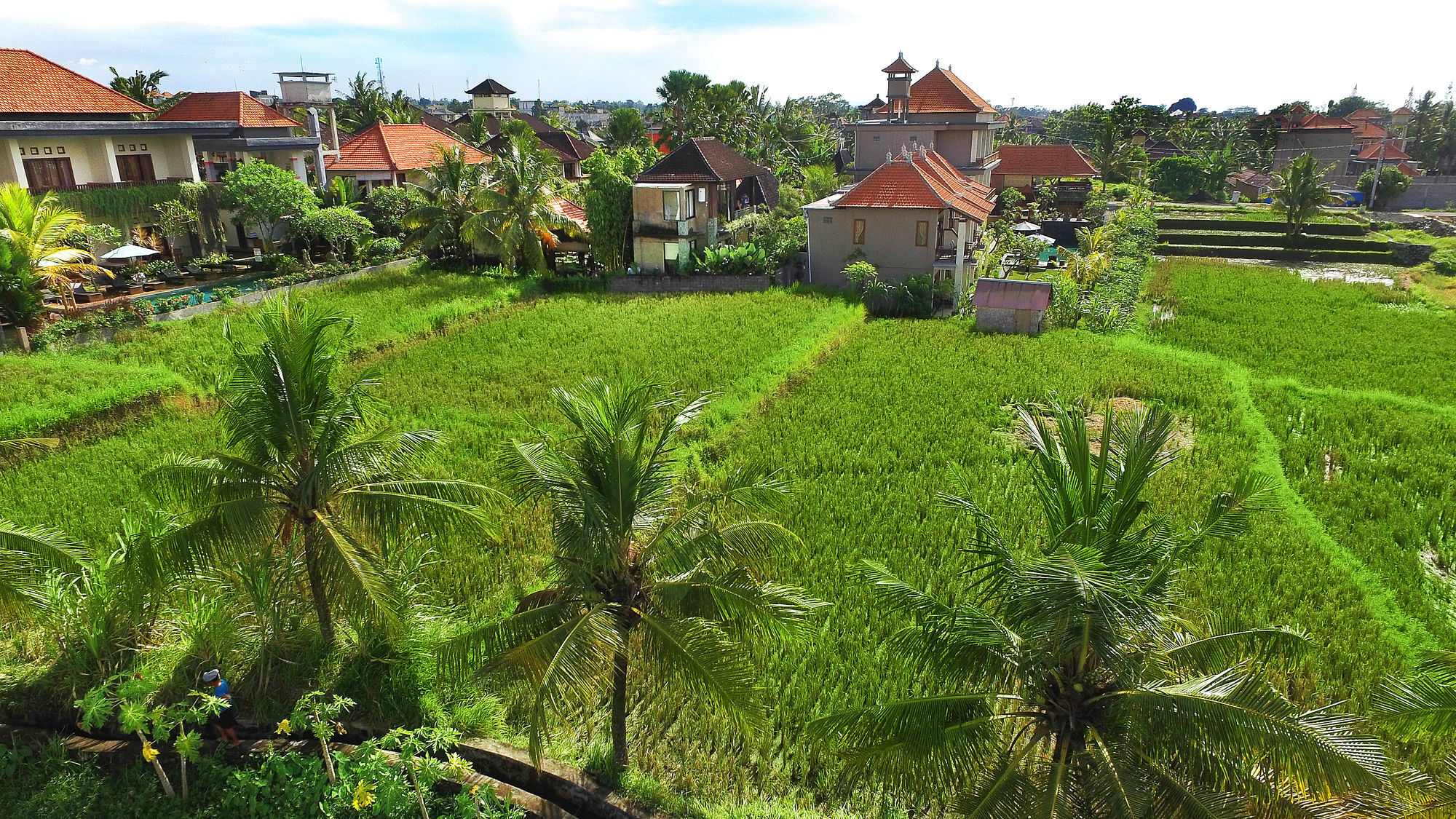 Bisma Cottages Ubud Luaran gambar