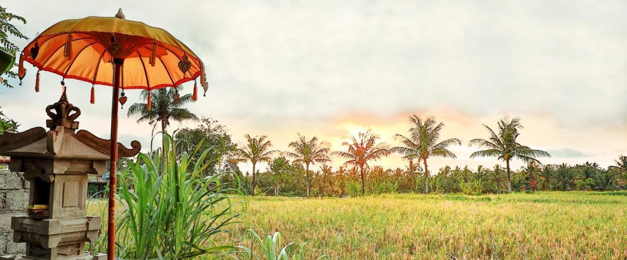 Bisma Cottages Ubud Luaran gambar